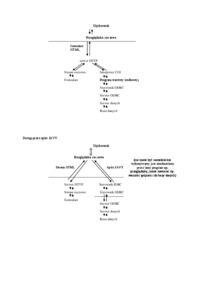 Dostęp do baz danych poprzez WWW-opracowanie