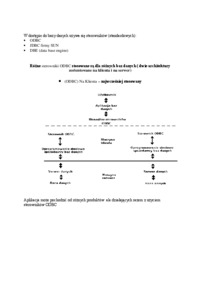 Warstwy aplikacji bazodanowych-opracowanie