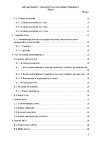 Projekt dla firmy ExtraNet-opracowanie