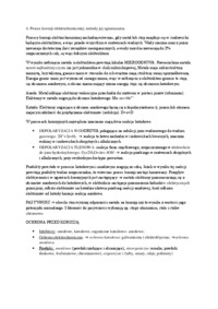 Proces korozji elektrochemicznej-opracowanie