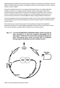 Przemiany substancji biogennych w warunkach naturalnych-opracowanie