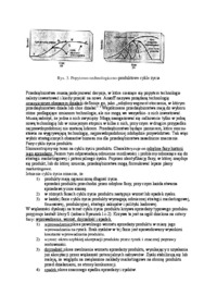 cykl-zycia-produktu-wprowadzenie-wzrost-dojrzalosc-i-spadek-opracowanie