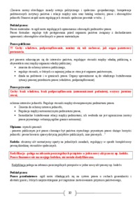 Systematyzacja prawa- wykład