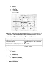 wyklad-rynek-kapitalowy