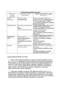 wyklad-technika-dyskusja-philips-66-odroczonego-wartosciowania