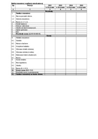 budzet-kapitalowy-wyklad