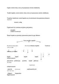 Wykład - Źródła finansowania ujemnego bilansu handlowego