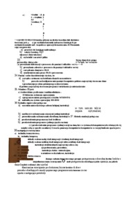 test-wiedzy-informatyka-1