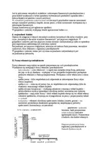 wyklad-przedsiebiorstwo-w-gospodarce-rynkowej