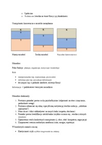 Wykład - Wprowadzenie do problematyki przedmiotu
