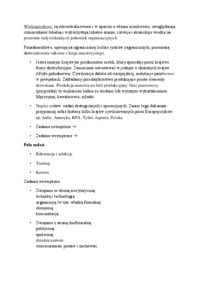 wyklad-miedzynarodowe-zarzadzanie-zasobami-ludzkimi-2