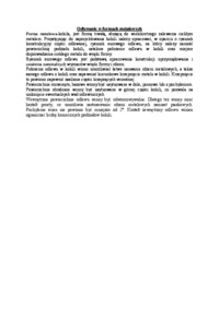 Odlewanie w formach metalowych- opracowanie