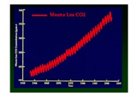 CO2 CH4 biodegradowalne