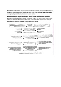analiza-kosztow-w-lancuchu-dostaw-opracowanie