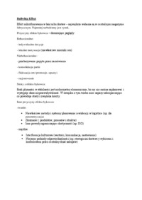 bullwhip-effect-opracowanie