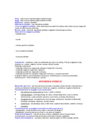 Górnictwo pojęcia - wykład