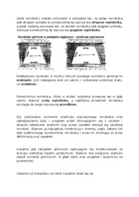 Wykład - Udostępnianie złoża.