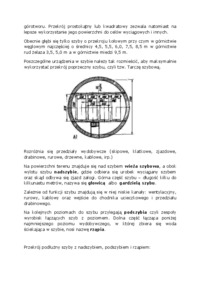 Wykład - wyrobiska udostępniające