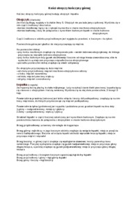 Kości obręczy kończyny górnej - wykład