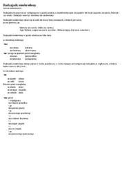 Rodzajnik nieokreślony - wykład