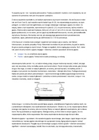 Wykład - Językoznawstwo ogólne