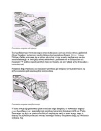 Ruchy górotwórcze - wykład