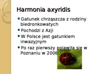 wplyw-metod-zwalczania-harmonia-axyridis-na-srodowisko-prezentacja-cwiczenia