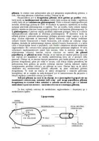 Biochemia - wykład 9