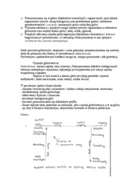 charakterystyka-gleby-procesy-glebotworcze-wyklady