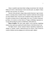 Bilansowanie wodne - Opad atmosferyczny