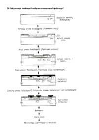 Pytania i odpowiedzi do egzaminu 31-40
