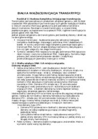 Inicjacja transkrypcji