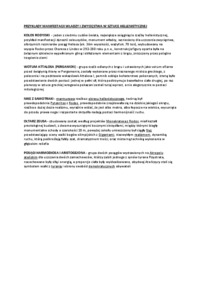 przyklady-manifestacji-wladzy-i-zwyciestwa-w-sztuce-hellenistycznej-wyklad