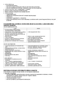 systematyka-strunowcow-ssaki