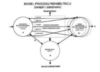 schemat procesu rehabilitacji
