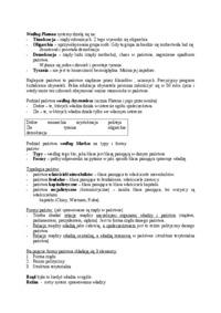 encyklopedia-prawa-5