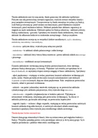 tkanka-nablonkowa-tkanka-laczna-tkanka-laczna-szklista