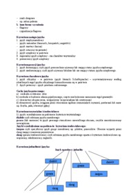 jezyk-urzedowy-w-administracji