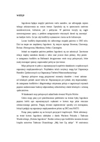 polska-w-misjach-pokojowych-praca-licencjacka