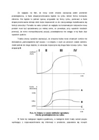 Powstanie i rozwój rynków w czasie
