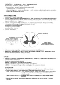 Układ nerwowy i układ oddechowy