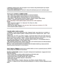 transport-miedzynarodowy-wyklady