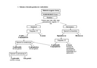 Schematy diagnostyczne