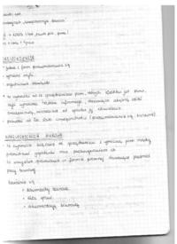 Korespondencja - jak pisać pisma urzędowe