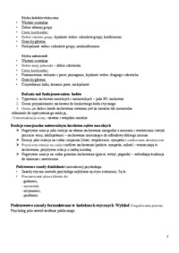 etyka-wyklady-etyka-a-moralnosc