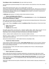 filozofia-pytania-i-odpowiedzi