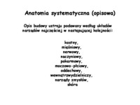 Anatomia układu narządu ruchu