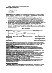 budzetowanie-kosztow-materialow-bezposrednich