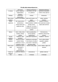 Teoria Stosunków Międzynarodowych - opracowanie zagadnień