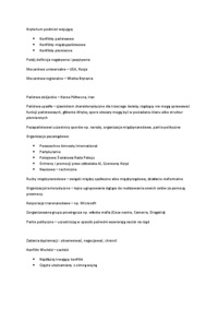 miedzynarodowe-stosunki-polityczne-2-wyklady